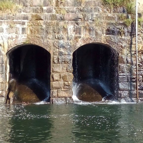 Meet your Posher, Eric - Picture 1 of 1